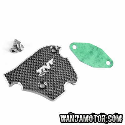 Oil pump cover carbon Derbi/Piaggio