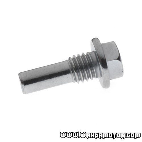 #09 Cam chain upper roller bolt