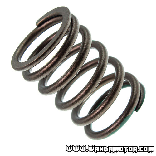 #09 Z50 valve spring