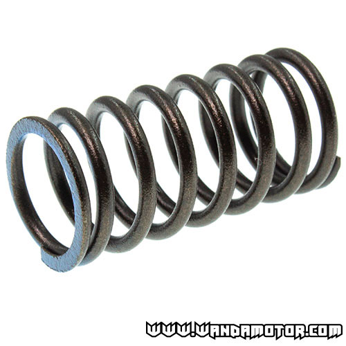 #10 Z50 valve spring inner