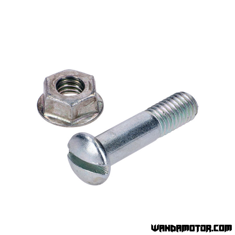 Lever fastener screw M6 x 29mm