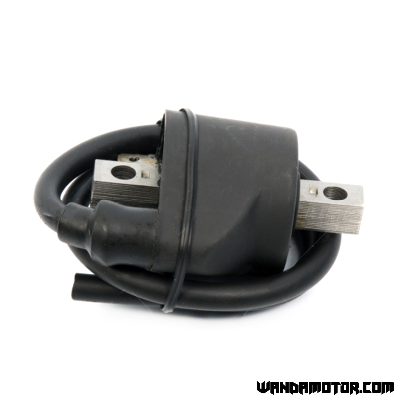 Ignition coil Polaris