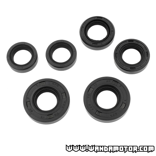 Oil seal kit Tunturi, Puch