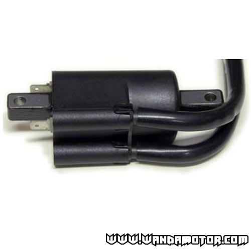 Ignition coil Ski-Doo / Lynx