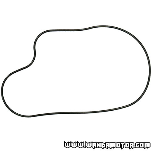 Chain case gasket Polaris 550-800