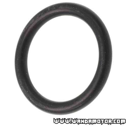 Windshield o-ring 29x22x3