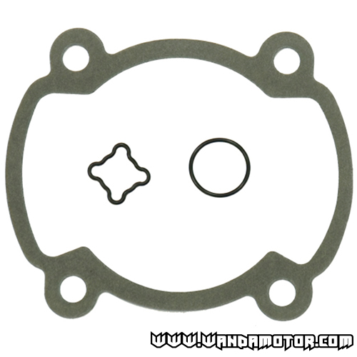 Gasket kit top end Rotax 250