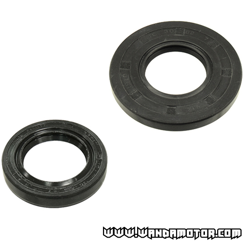 Oil seal kit Rotax 250