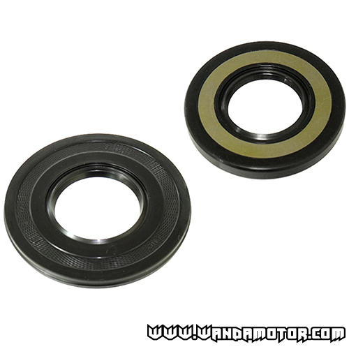 Oil seal kit Rotax 467, 582, 583