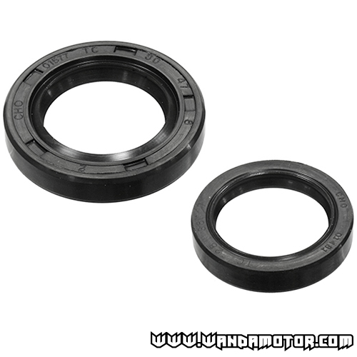 Oil seal kit Rotax 277, 300