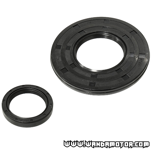 Oil seal kit Rotax 599-800