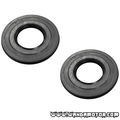 Oil seal kit Rotax 550