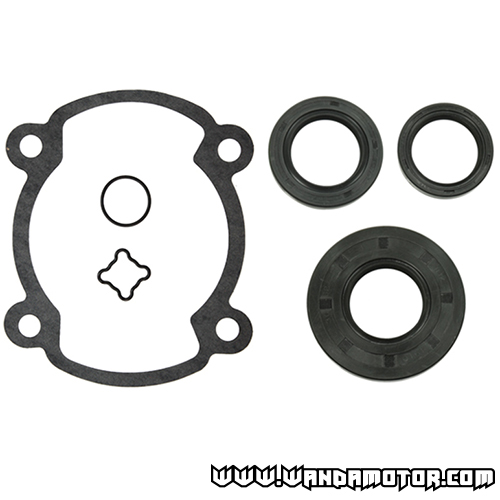 Gasket kit complete Rotax 250