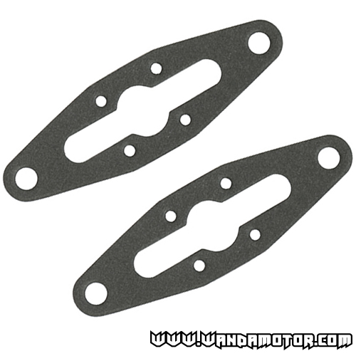 Exhaust valve gaskets Polaris