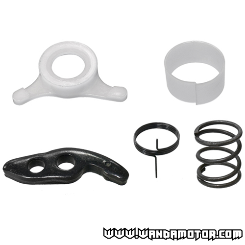 Pawl kit Arctic Cat 3007-309