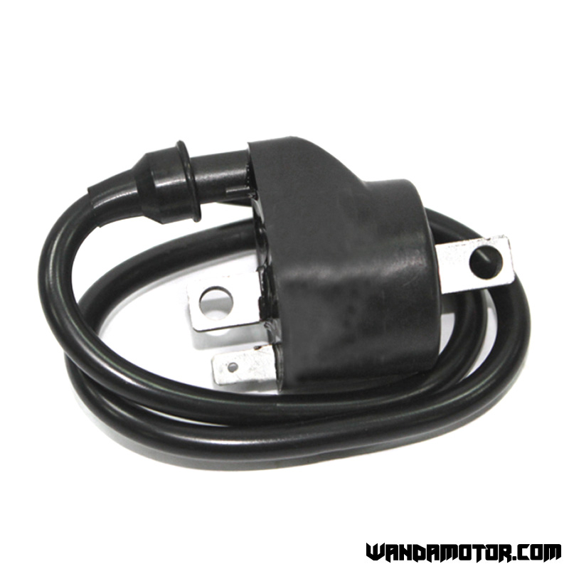 Ignition coil Polaris