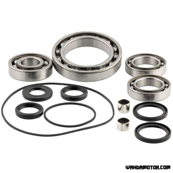 Differential bearing set Polaris-1