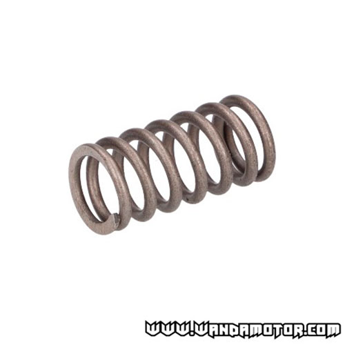 #09 AM6 clutch spring