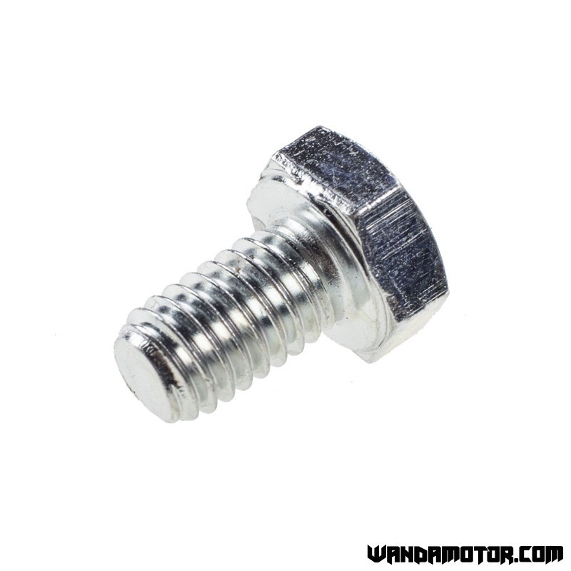 Bolt M6 x 10mm