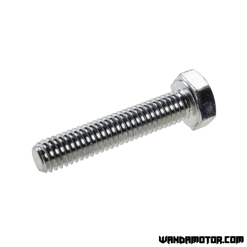 Bolt M6 x 30mm