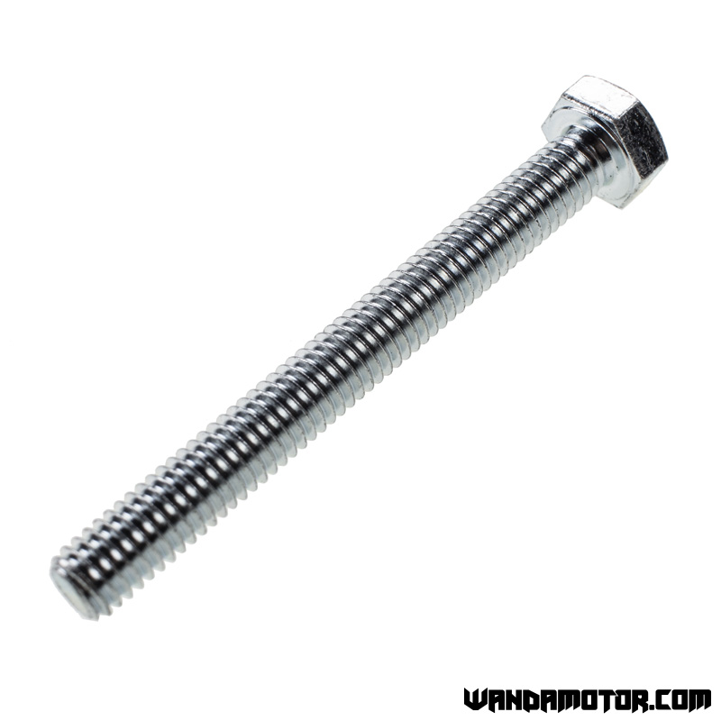 Bolt M6 x 55mm