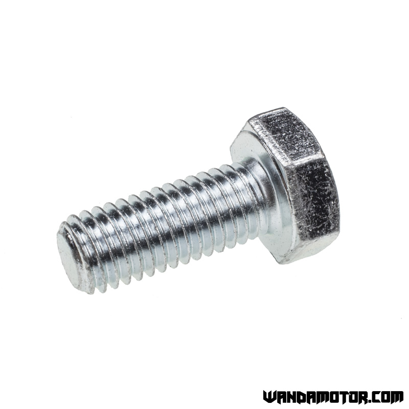 Bolt M10 x 25mm