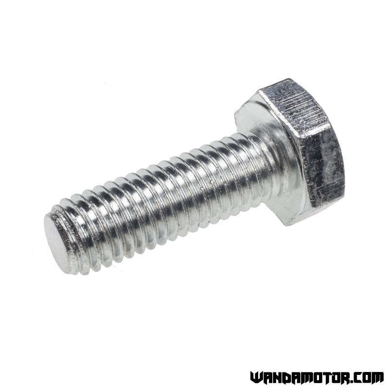 Bolt M10 x 30mm