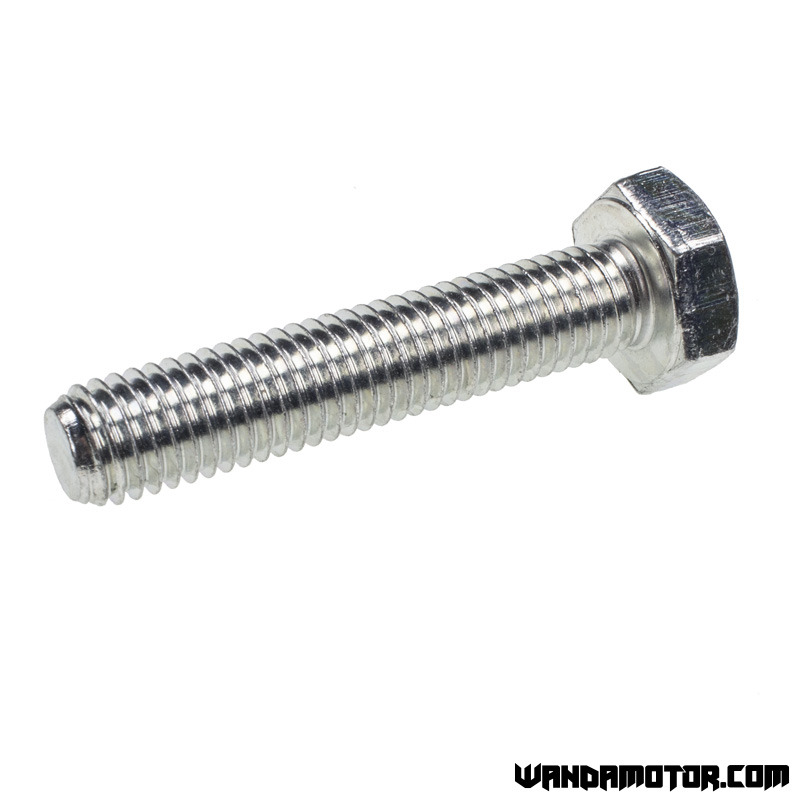 Bolt M10 x 50mm