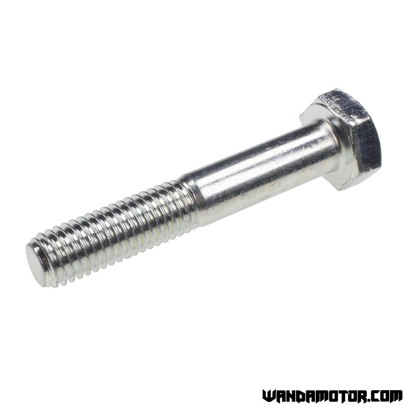 Bolt M10 x 60mm