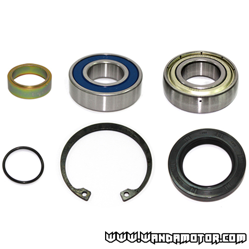 Chain case bearings Polaris