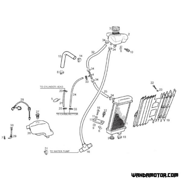 #8 Hose clamp 21/8W4-2