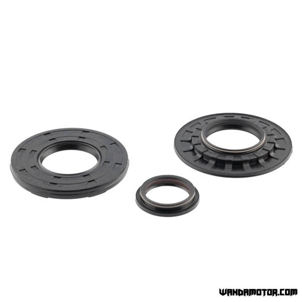 Oil seal kit Rotax 600 E-Tec-1