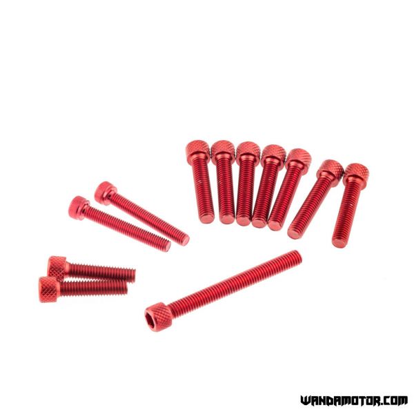 Crankcase bolts Minarelli AM6 red