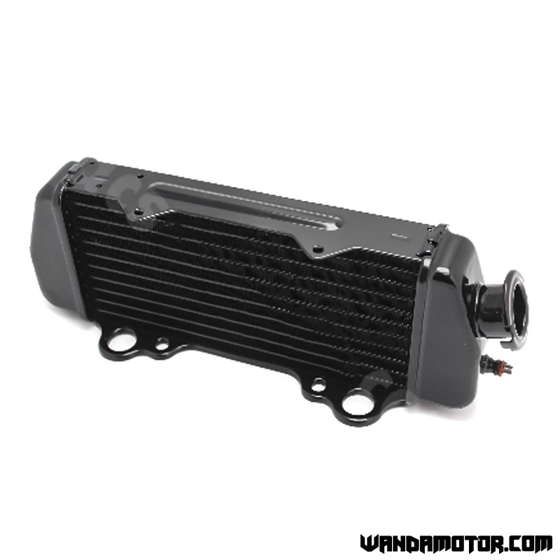 Radiator Beta RR 2005-