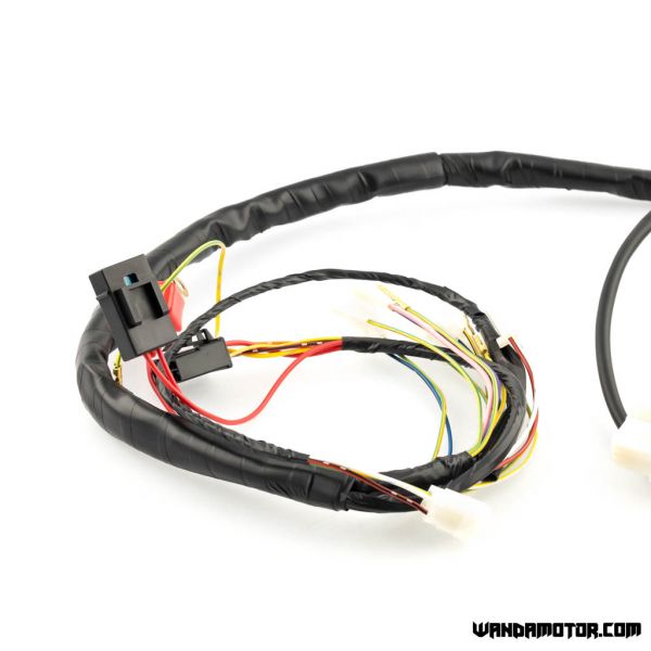 Wire harness Aprilia RX/SX, Derbi Senda-2