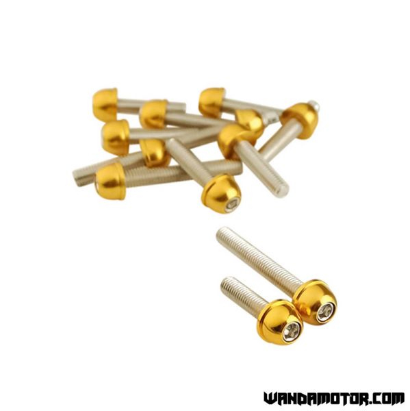 Fairing screw kit Aerox/BWS conical gold