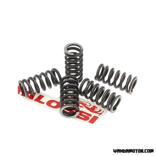 Clutch spring kit Malossi Derbi, PV