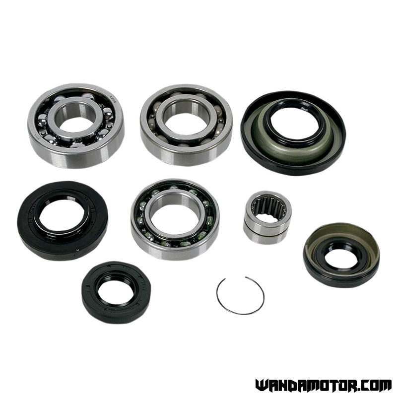 Differential bearing set Honda