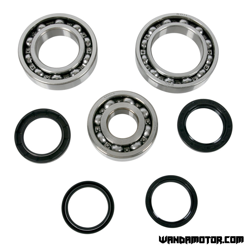 Differential gasket set Kawasaki, Suzuki