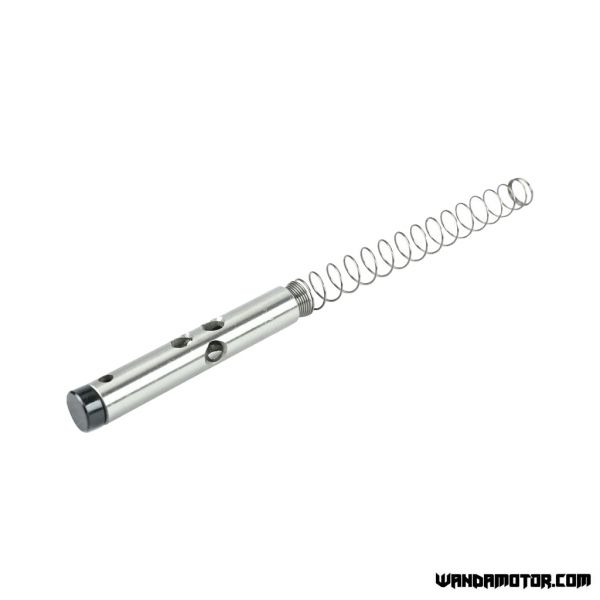 Lifan 125 timing chain tensioner rod and spring-1