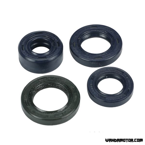 Lifan 150 engine oil seal kit-1