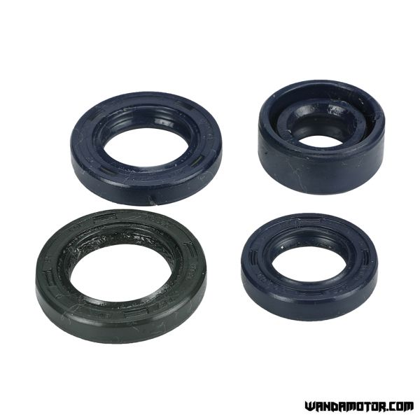 Lifan 150 engine oil seal kit-2