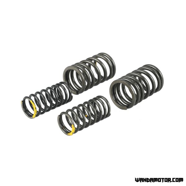 Lifan 125 valve springs