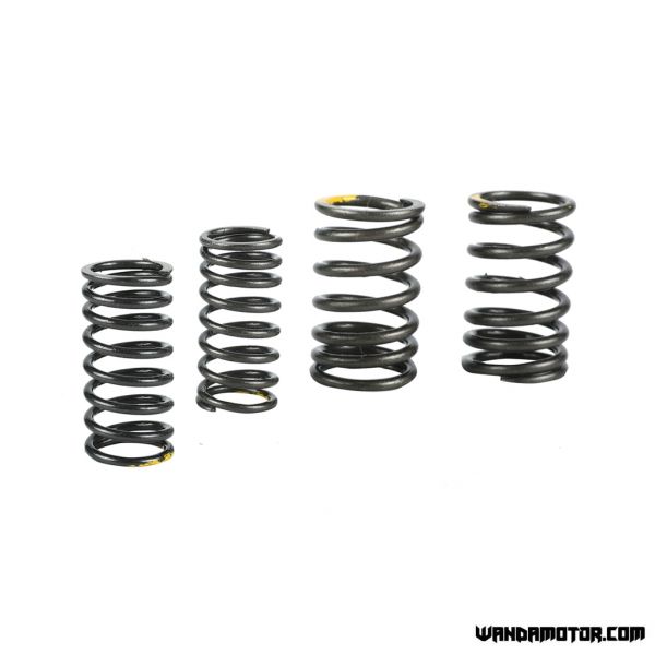 Lifan 125 valve springs-2