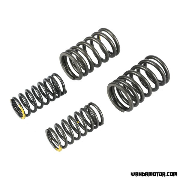 Lifan 125 valve springs-3