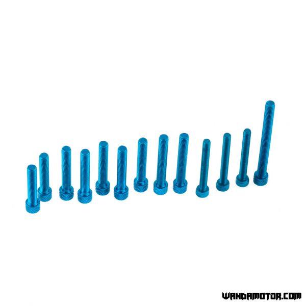 Crankcase bolts Derbi Senda blue-2