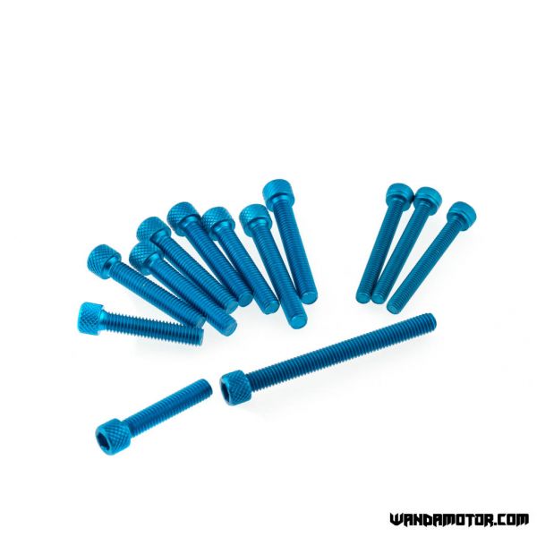 Crankcase bolts Derbi Senda blue