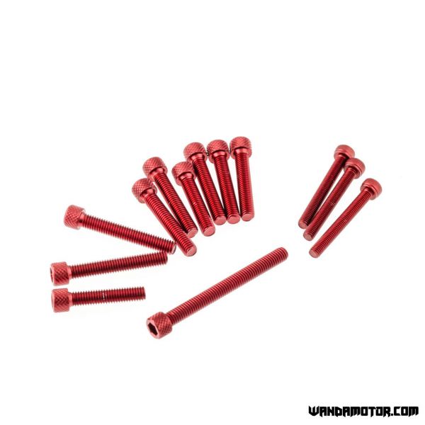 Crankcase bolts Derbi Senda red