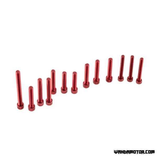 Crankcase bolts Derbi Senda red-2