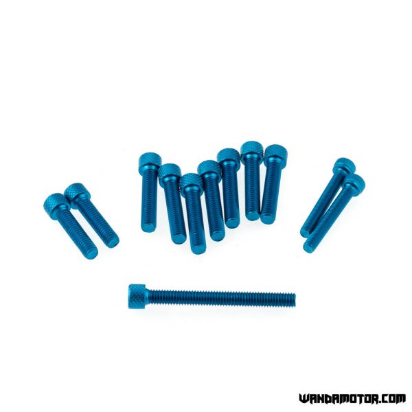 Crankcase bolts Minarelli AM6 blue
